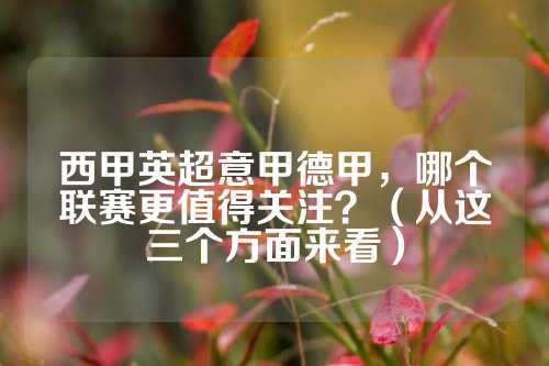 向年轻车手 向年轻车手