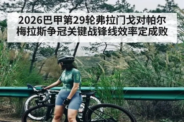 2026巴甲第29轮弗拉门戈对帕尔梅拉斯争冠关键战锋线效率定成败